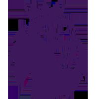 Ӣ�� ������vs������20250824