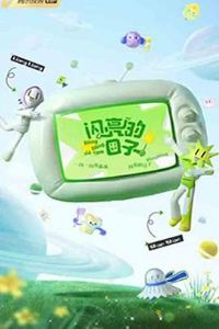 ���������ӵ�����