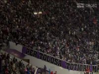 �������� ͼ¬��VSŷ���� 20241202